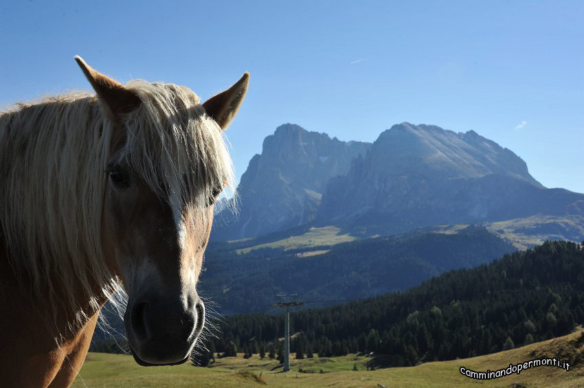 020 Sasso Lungo e Sasso Piatto.JPG